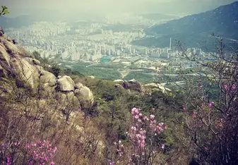 sky view of a beautiful town