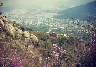 sky view of a beautiful town