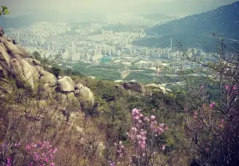sky view of a beautiful town