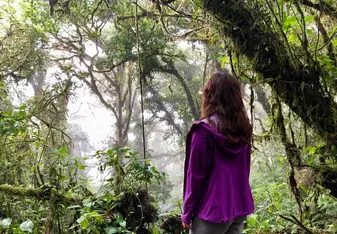 Me, looking out at the cloud rain forest in the fog, on the continental divide