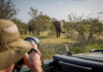 elephant, photography, photographer, game drive, safari, africa, wildlife, wildlife photography