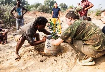 Planting a tree