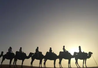 Camel ride 