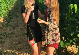 Wine tour