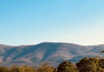 South Africa Loop Abroad