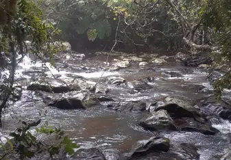 A river stream.