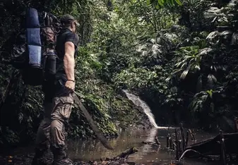 Last look at the jungle
