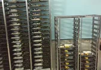 300-400 trays a Days