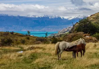 Coyhaique, Chile