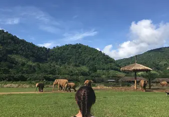 Elephant Nature Park 