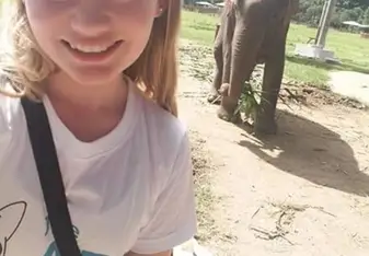 Elephants! 