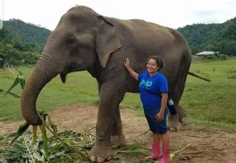 The elephant I worked with at ENP