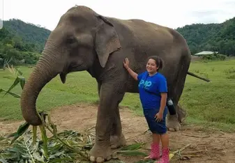 The elephant I worked with at ENP