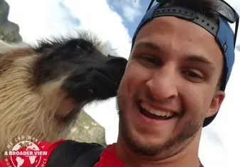 Llama love