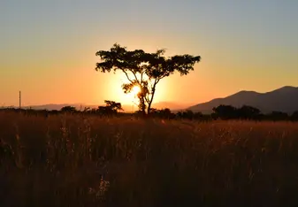African Sunset
