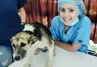 Surgery preparation
