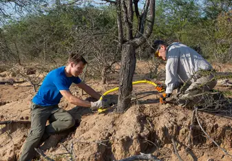Erosion work; helping nature to recover
