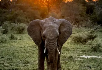 The beauty of South Africa