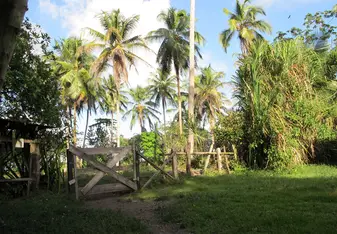 Entrance to base in the morning