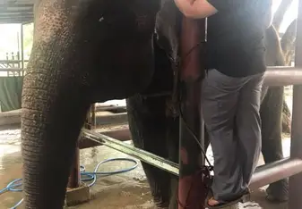 Laser Therapy with Aum Pan