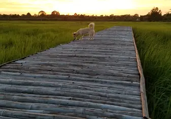 A friend came to watch the sunset with us