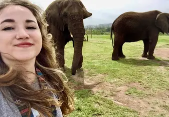 Elephants!