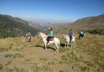 Horseback riding in the Sierra Nevada