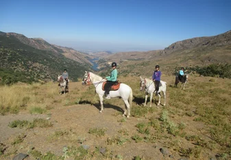 Horseback riding in the Sierra Nevada
