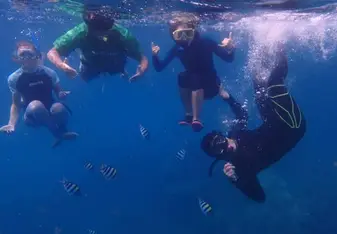 snorkel trip