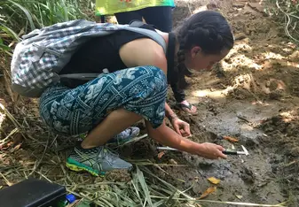 We would walk through rivers and find small cat footprints to track their movement. 
