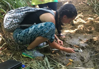We would walk through rivers and find small cat footprints to track their movement. 