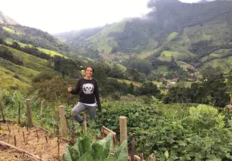 organic farming garden 