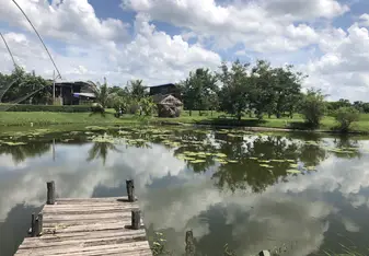 Rice fields base