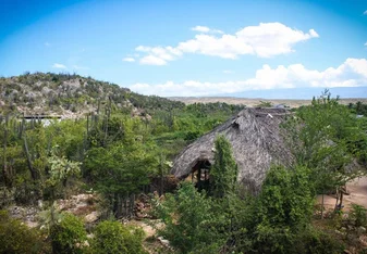 Sadhana Forest Haiti