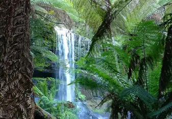 Russell Falls