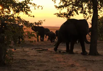 Liwonde National Park