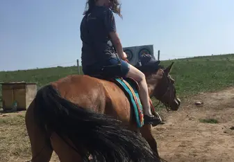 horse