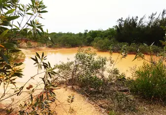 A muddy river.