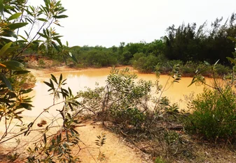 A muddy river.