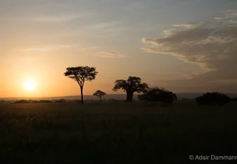 A view of the sunset.