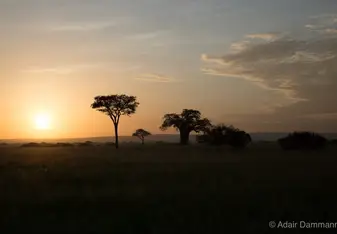 A view of the sunset.