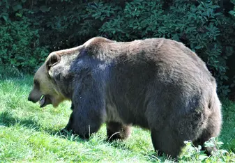 Feeding time