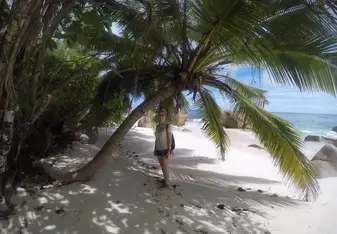 Anse Badamire Beach - Turtle Survey