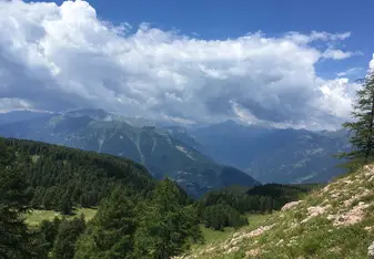 Trentino landscape
