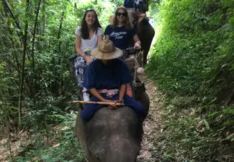Our elephant rides!