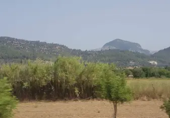 Views in Mallorca