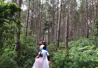 Walking through the forest with indigenous local people.