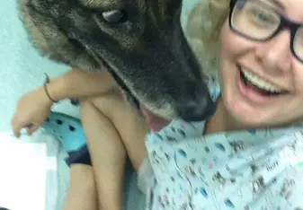 One of the amazing de-mining dogs I got to work with 