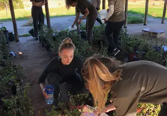 Planting a plant that photosynthesis up to 24 hours.