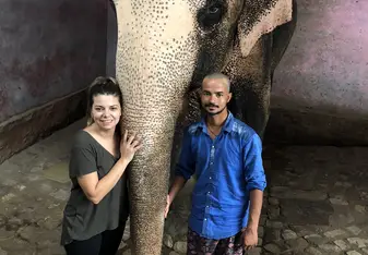 mahout